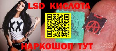 гидра Заводоуковск