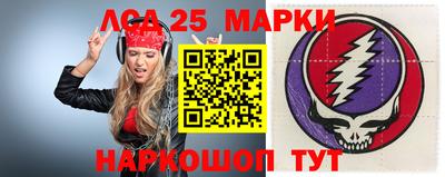 гидра Заводоуковск