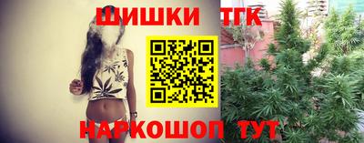 гидра Заводоуковск