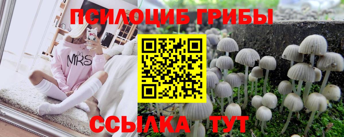 где купить наркотик  Псилоцибиновые грибы мицелий  Вход с VPN  Ивантеевка 